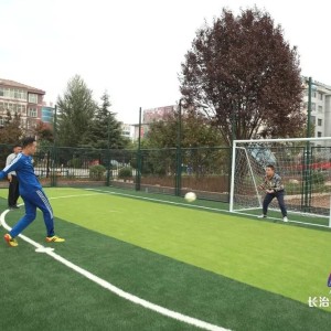  马赛球迷冲场抗议，要求俱乐部改善设施  